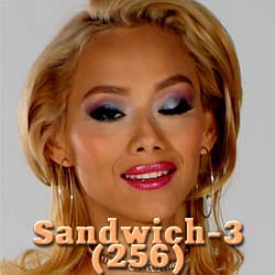 Sandwich-3(256) strip mobile game