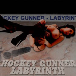 Hockey Gunner-2 (labyrinth) adult game