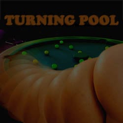 Turning Pool - mobile adult game